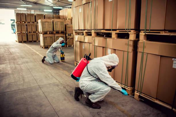 Best Pest Control Near Me in Northwest Harwich, MA
