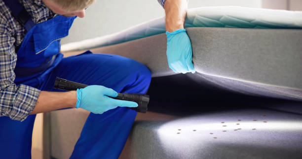 Best Insect Control  in Northwest Harwich, MA