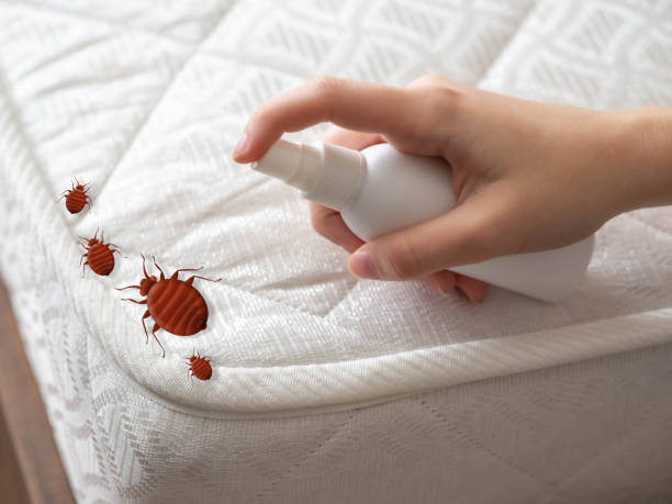 Best Residential Pest Control  in Northwest Harwich, MA
