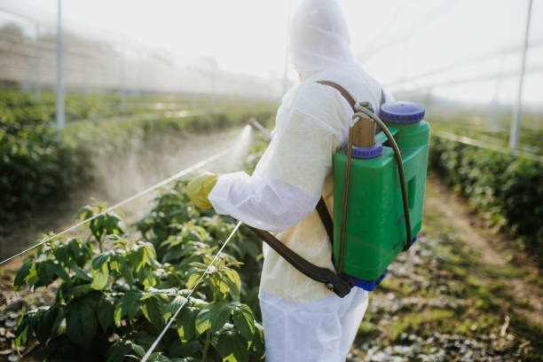 Best Mosquito Control Services  in Northwest Harwich, MA